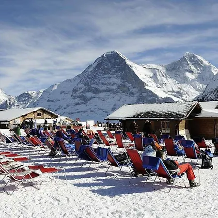 Aspen Alpine Lifestyle