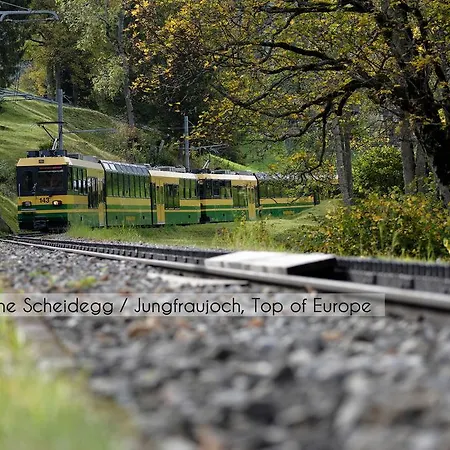 阿斯彭阿尔卑斯休闲酒店 酒店 格林德瓦