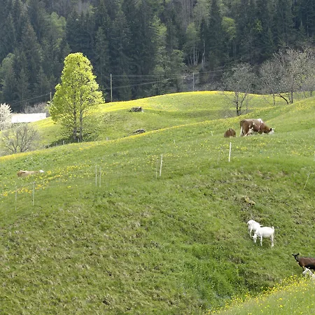 Hotel Aspen Alpine Lifestyle