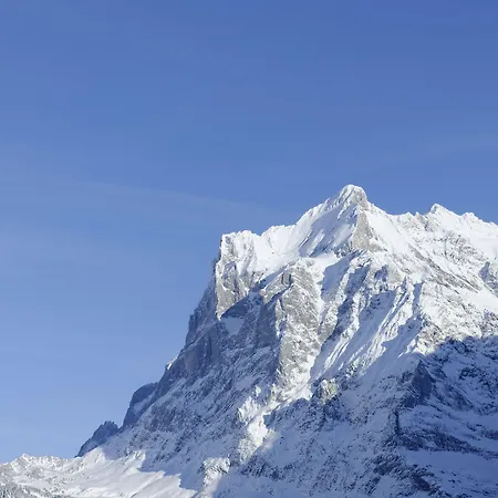 Aspen Alpine Lifestyle Hotel 4*