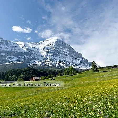 Aspen Alpine Lifestyle Otel Grindelwald