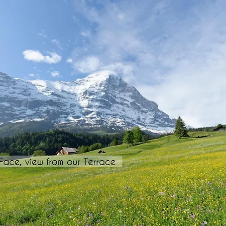 Aspen Alpine Lifestyle Hotel