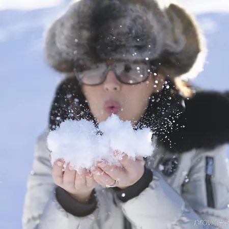 Aspen Alpine Lifestyle