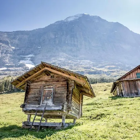 Aspen Alpine Lifestyle Hotel Grindelwald