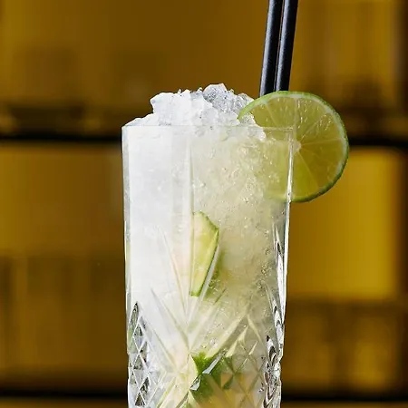 酒店 阿斯彭阿尔卑斯休闲酒店 格林德瓦