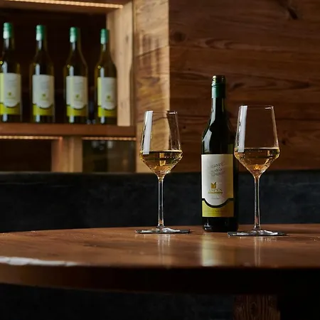 酒店 阿斯彭阿尔卑斯休闲酒店 4*