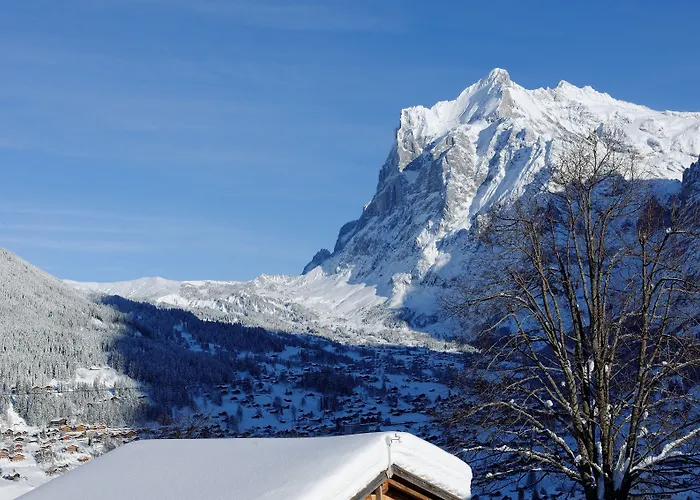 Aspen Alpine Lifestyle Hotel Grindelwald