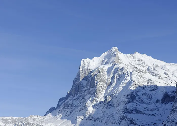 Aspen Alpine Lifestyle Hotel 4*