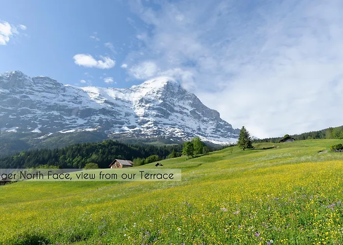 Aspen Alpine Lifestyle Hotel