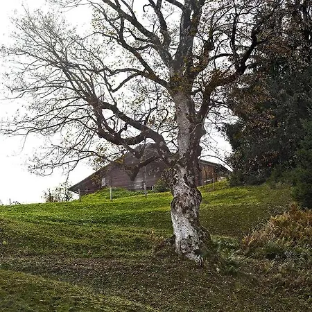 Ξενοδοχείο Aspen Alpine Lifestyle