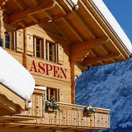 Aspen Alpine Lifestyle 4* Γκρίντελβαλντ