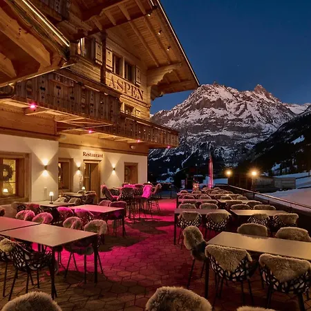 Aspen Alpine Lifestyle 4* Γκρίντελβαλντ