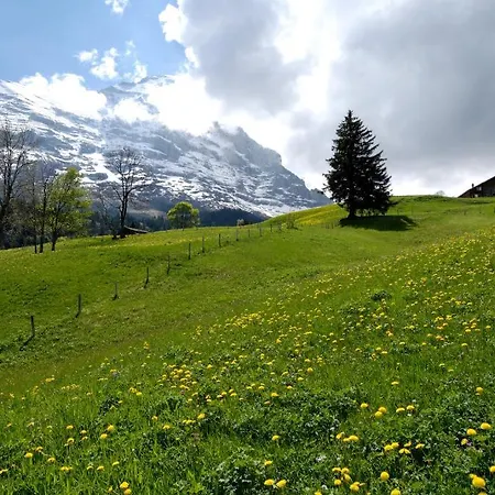 Ξενοδοχείο Aspen Alpine Lifestyle 4*