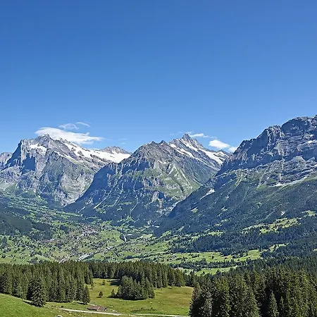 Aspen Alpine Lifestyle Ξενοδοχείο 4*