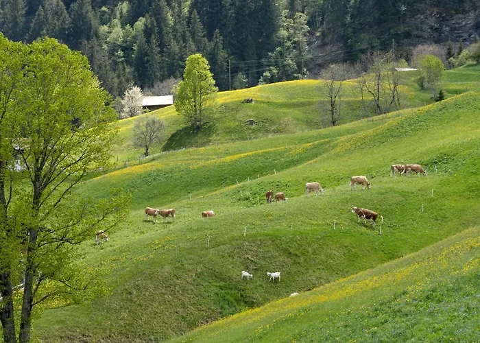 阿斯彭阿尔卑斯休闲酒店 酒店 格林德瓦