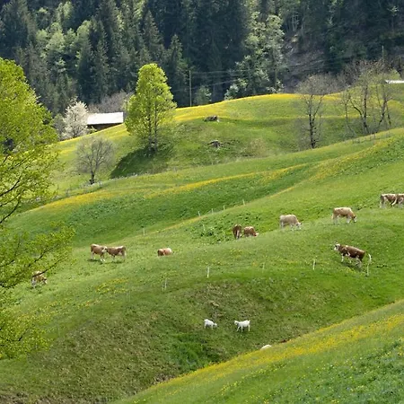 Aspen Alpine Lifestyle מלון גרינדלוולד