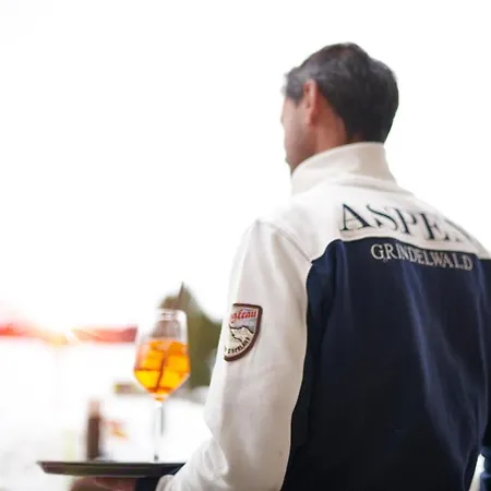 Aspen Alpine Lifestyle מלון 4*