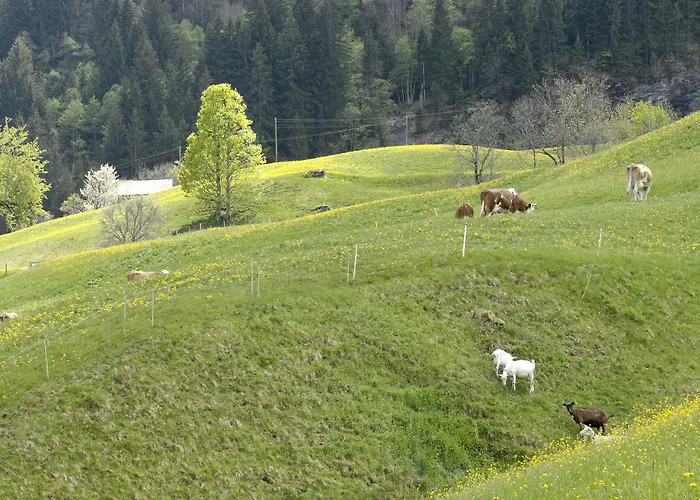 Hotel Aspen Alpine Lifestyle