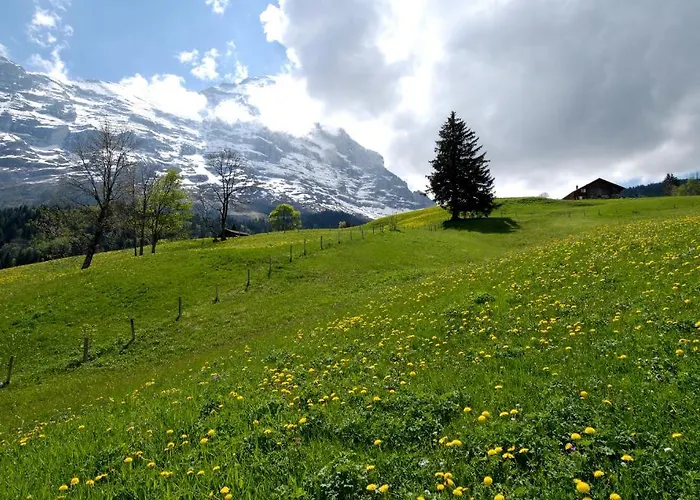 Hotel Aspen Alpine Lifestyle 4*