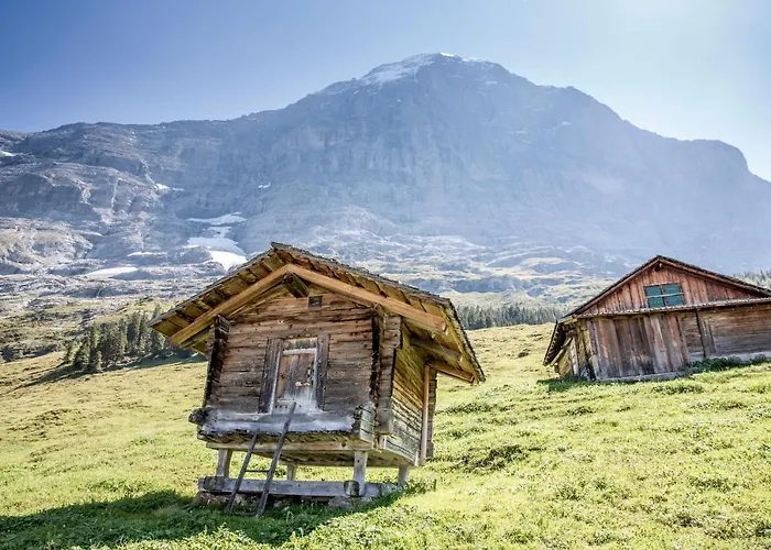 Aspen Alpine Lifestyle Hotel Grindelwald